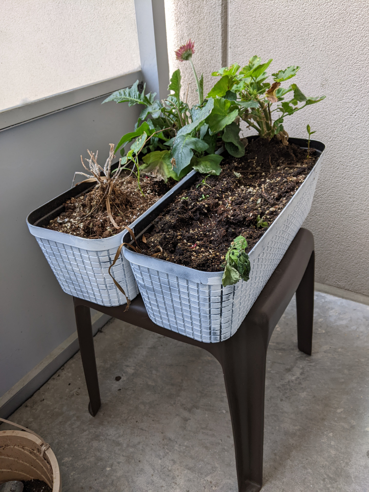 free planter with soil thumbnail