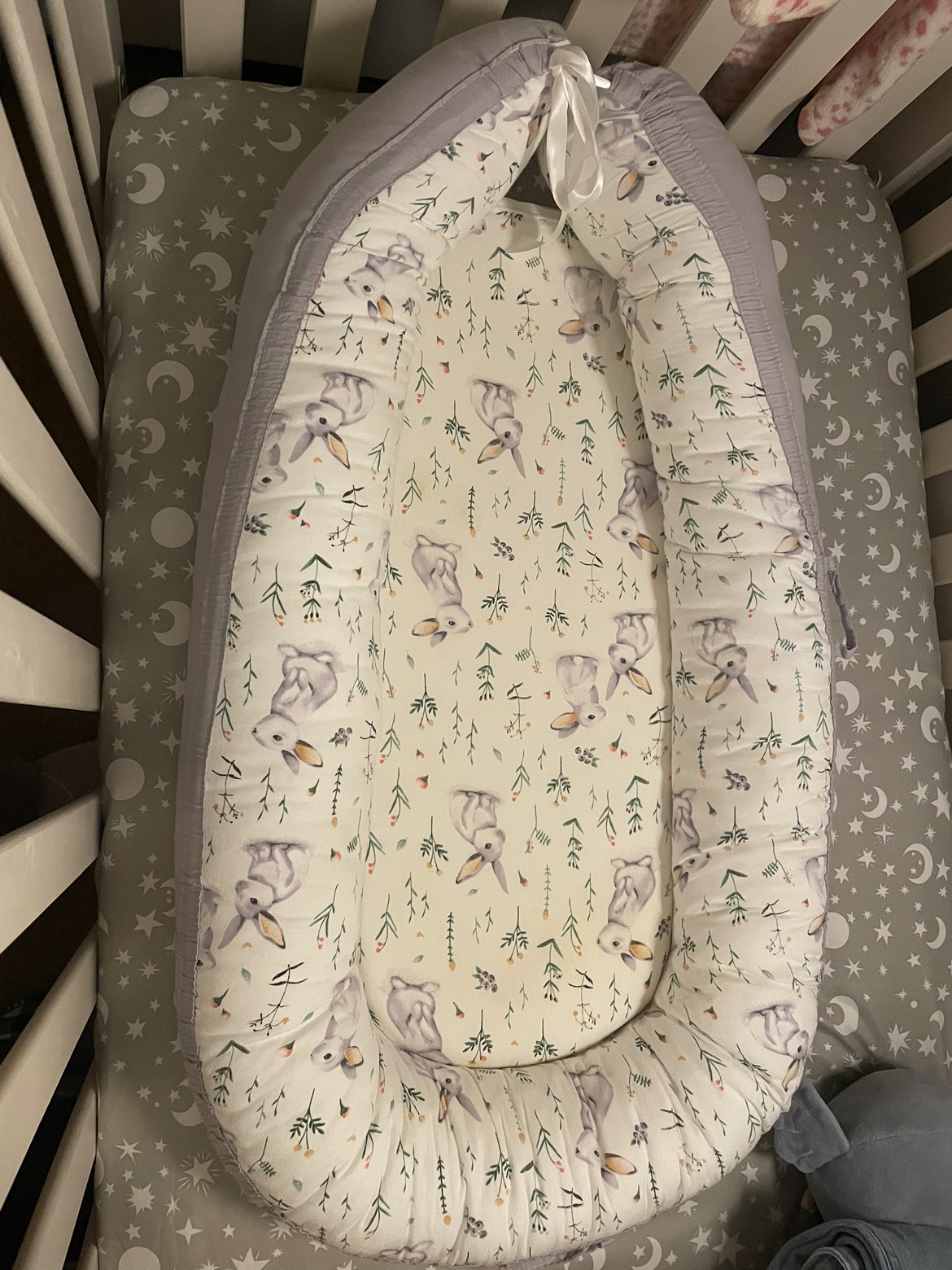 Baby nest