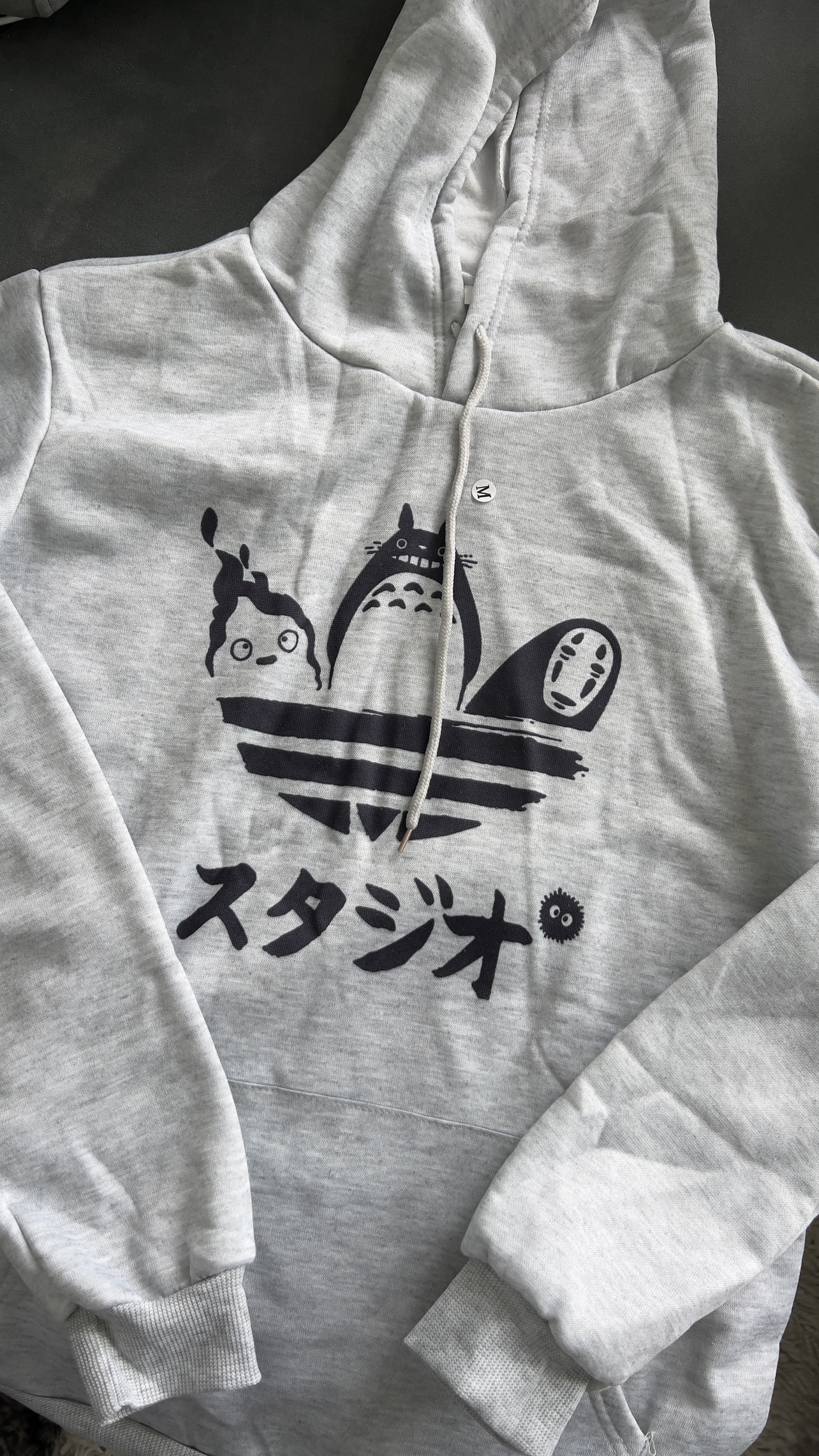 Totoro hoodie thumbnail