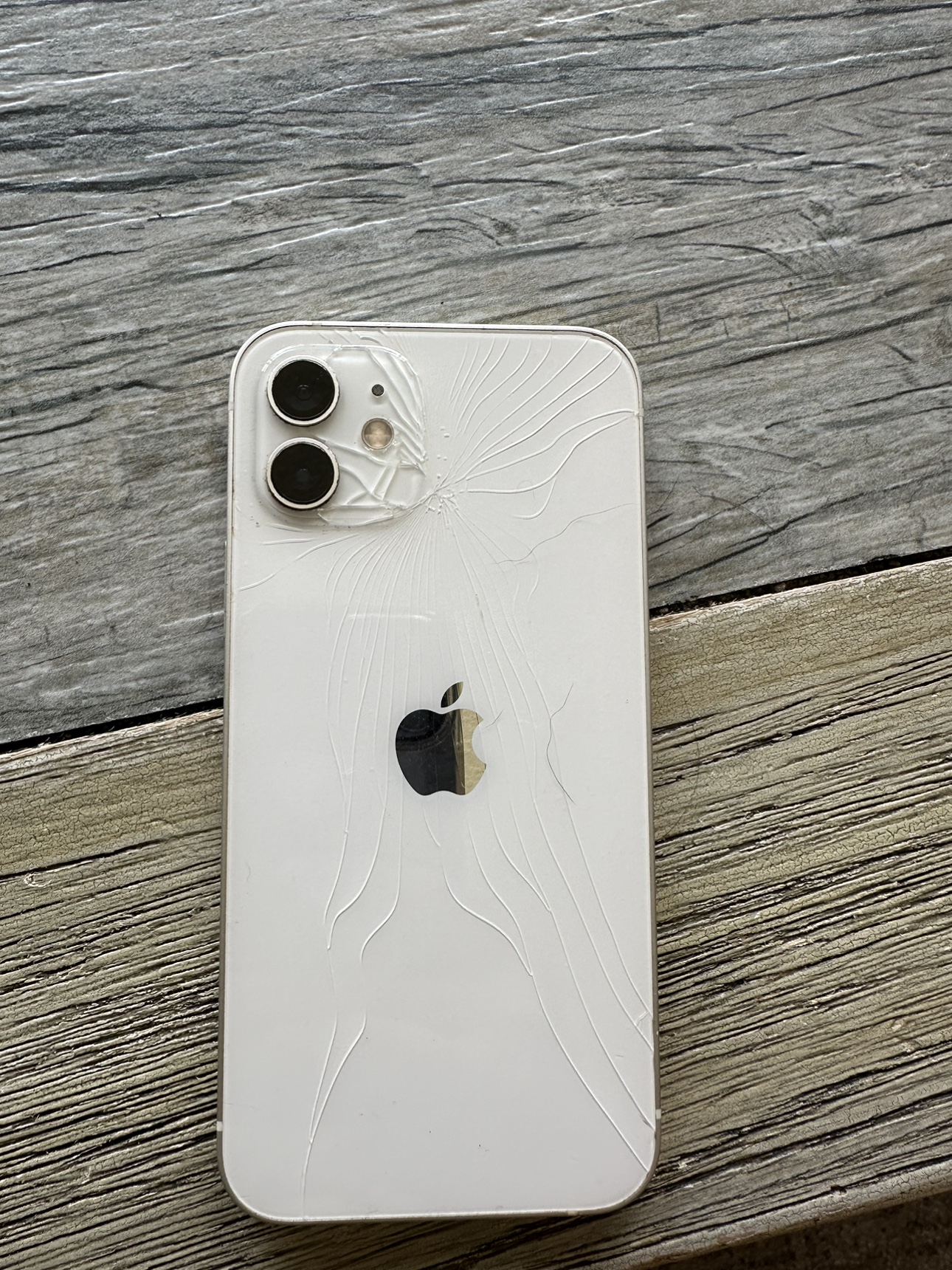 iPhone 12 - photo 2