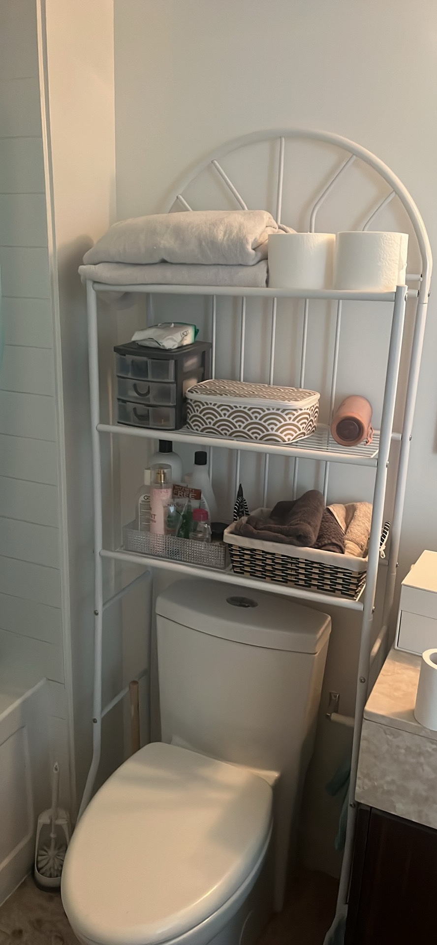 Iron Bathroom organizer