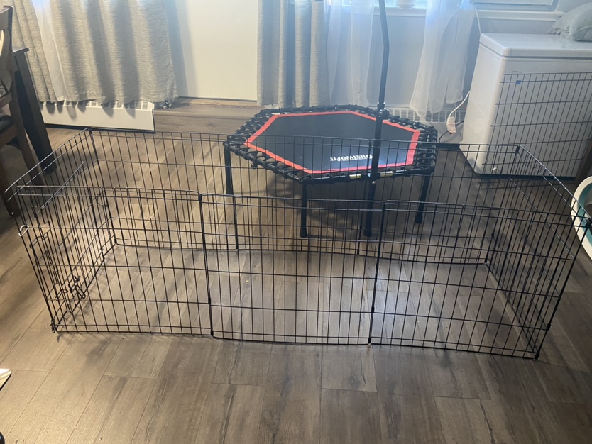 Pet playpen - photo 3