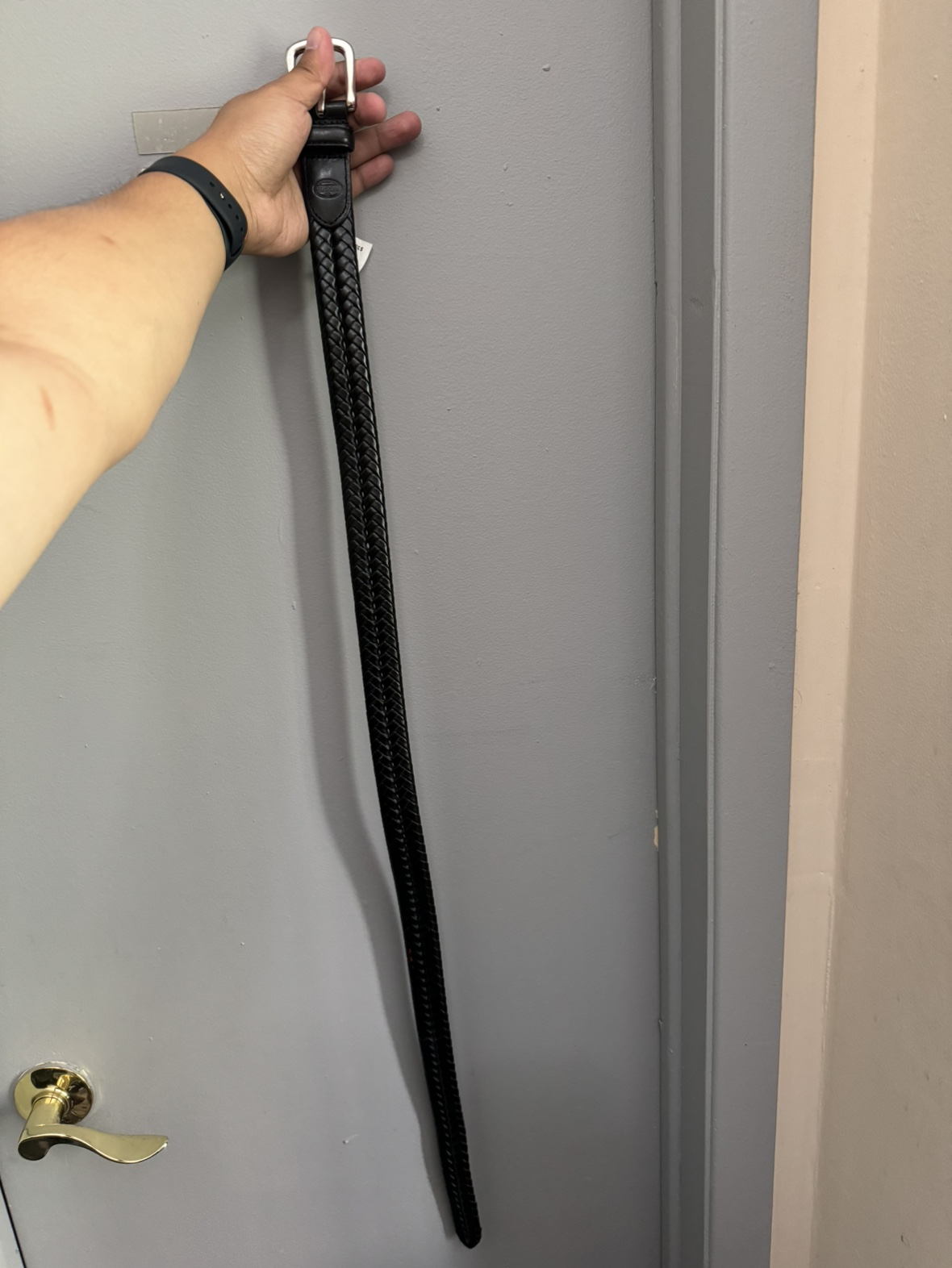 Fossil Belt #Freecycle image indicator(2)