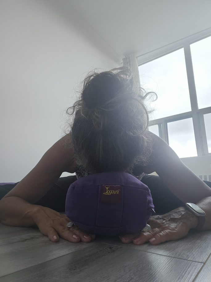 Yogavni Bolsters image indicator(5)