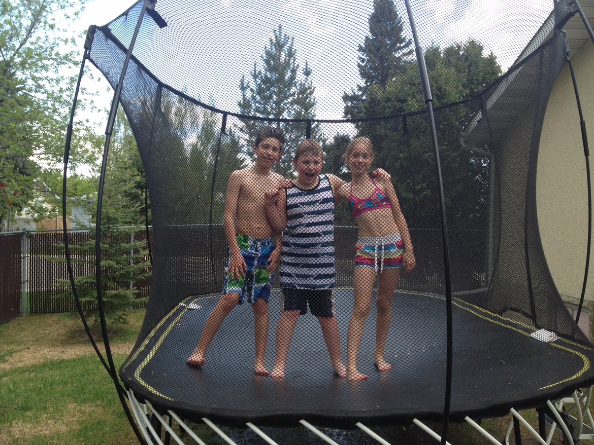 Trampoline - photo 3