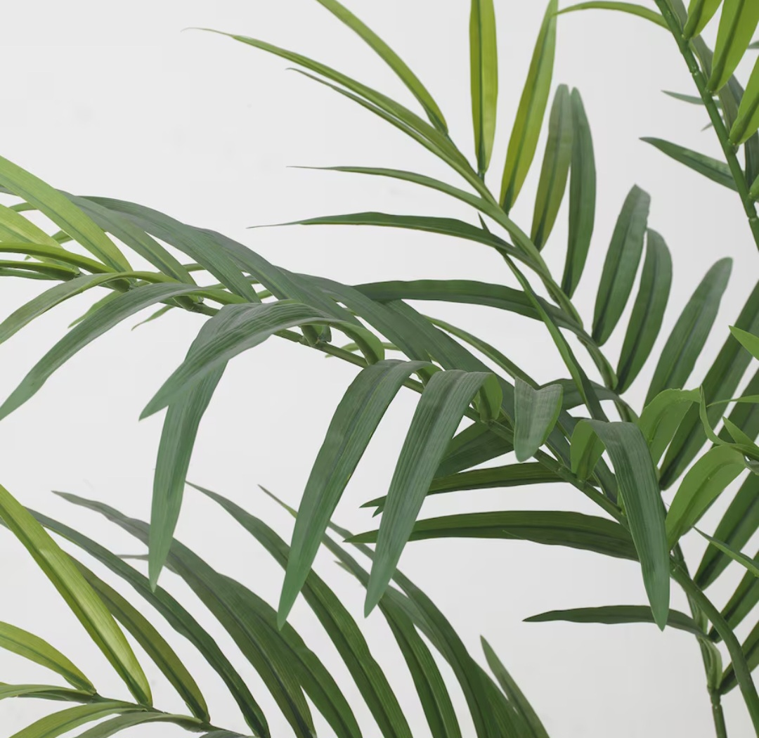 FEJKA Artificial potted plant, indoor/outdoor Kentia palm - photo 3