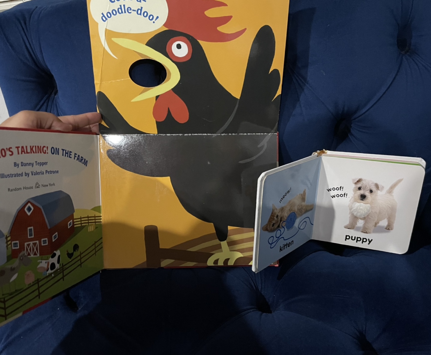 Kids animal books🥕 - photo 2