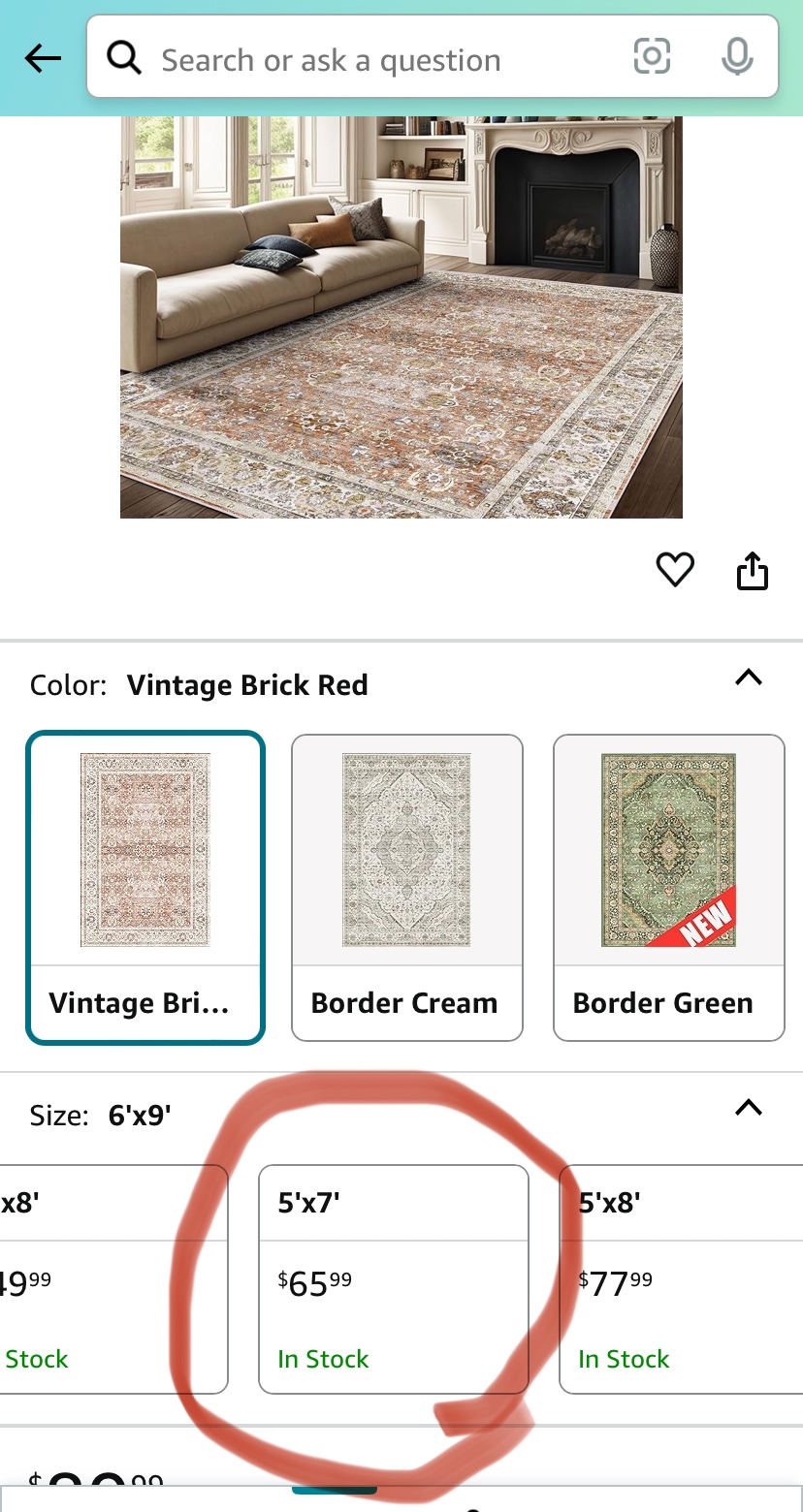 Ultra Soft Oeko Tex 5x7 Rug - photo 5