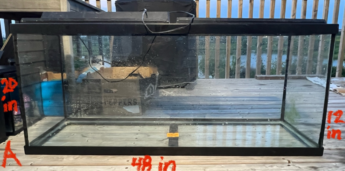 55 gallon fish tank aquarium