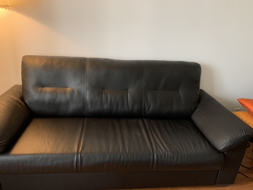 IKEA Leather Couch  Almost New- Needs to go.