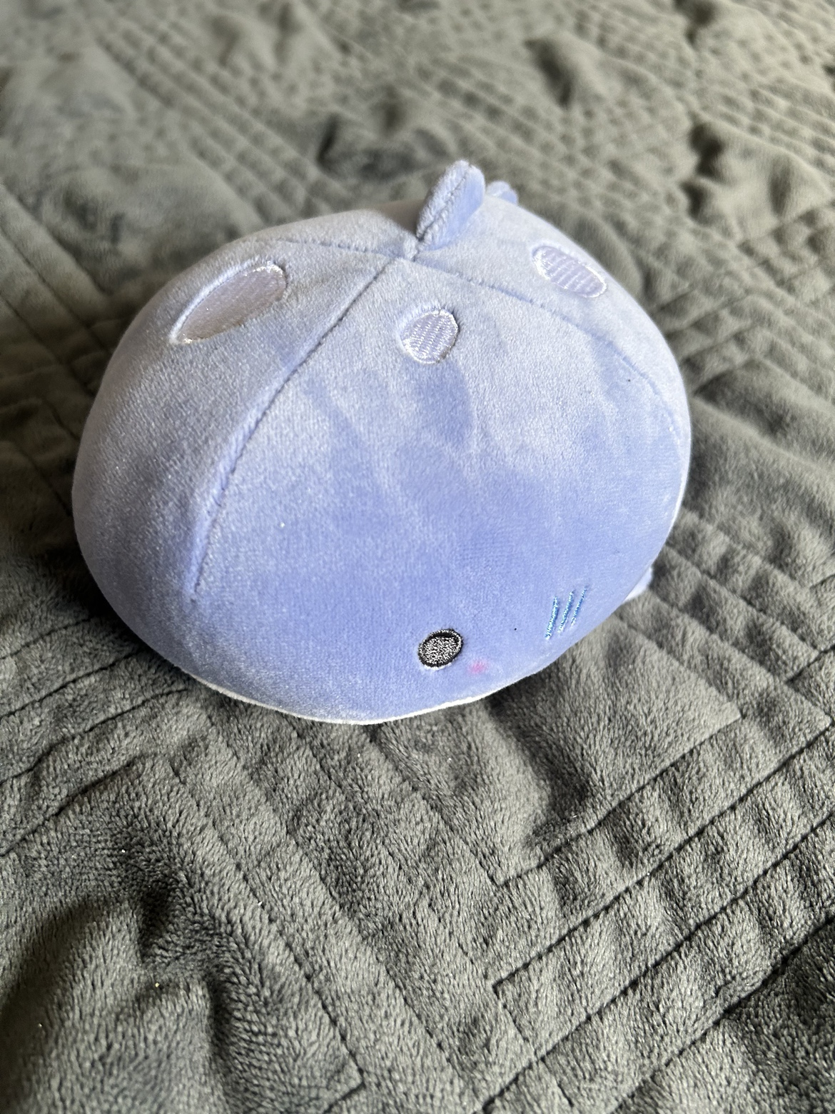 Free!! Plushies (Pokemon, Bakugo, Whale, Adventure Time) image indicator(8)