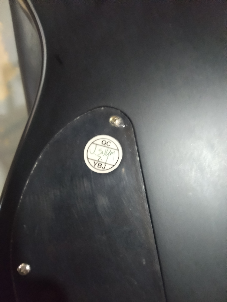 Washburn X300 Pro. **RARE** - photo 5