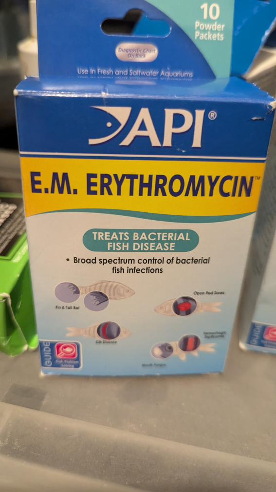 API fish products