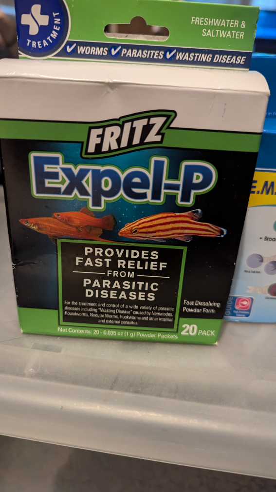 API fish products - photo 2