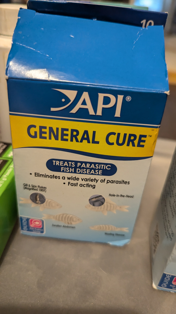 API fish products - photo 3