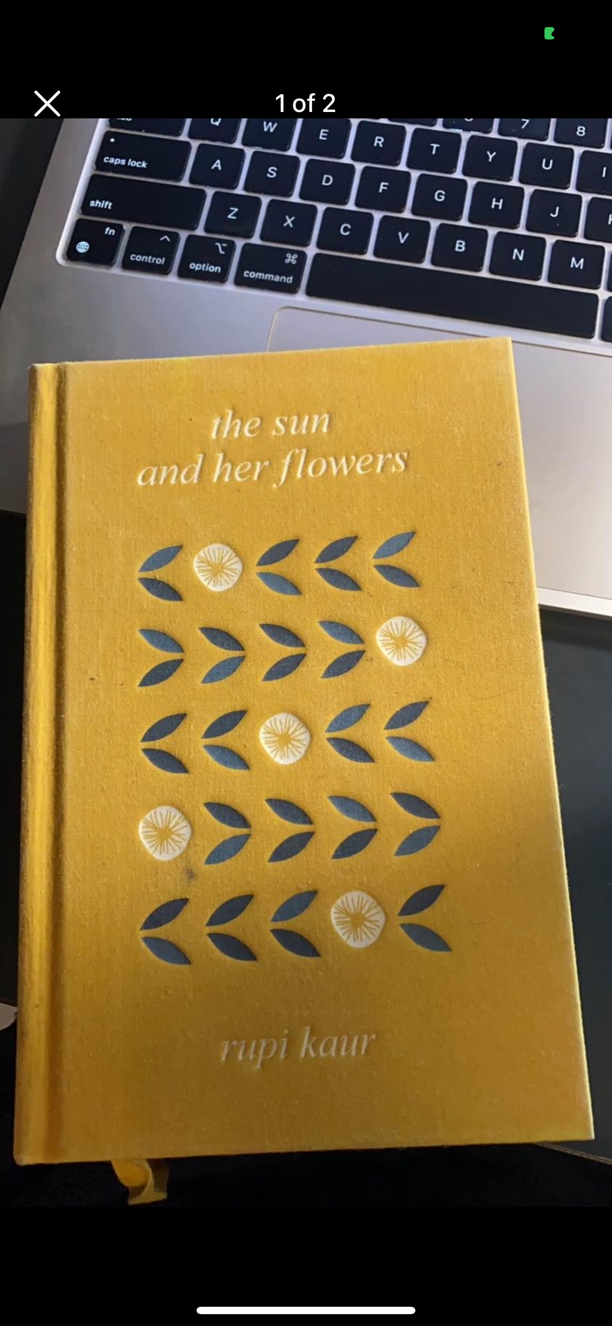 The Sun and Her Flowers - Rupi Kaur thumbnail