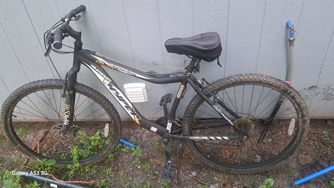 SHIMANO-Woman's Mountain bike