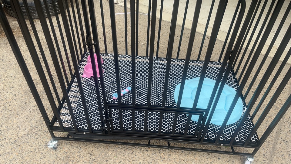 XL havey duty dog crate