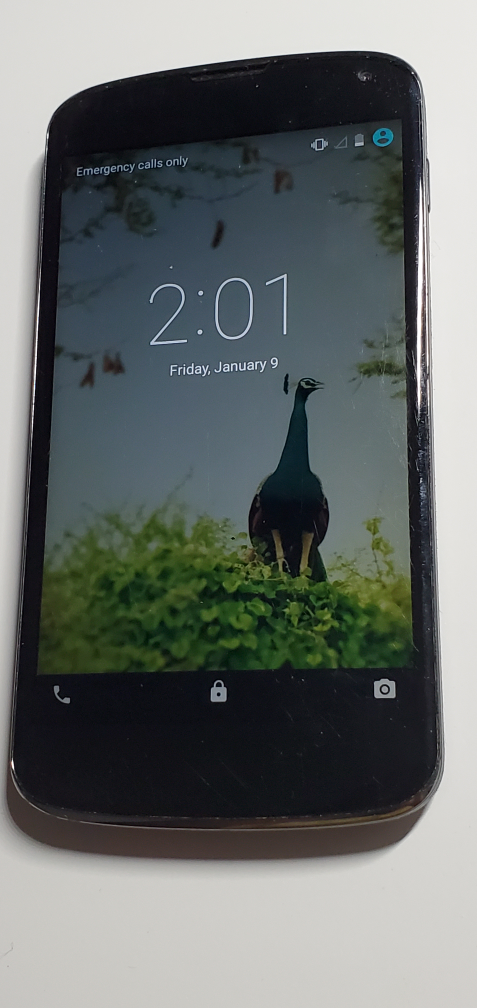 LG Google Nexus 4 - photo 3
