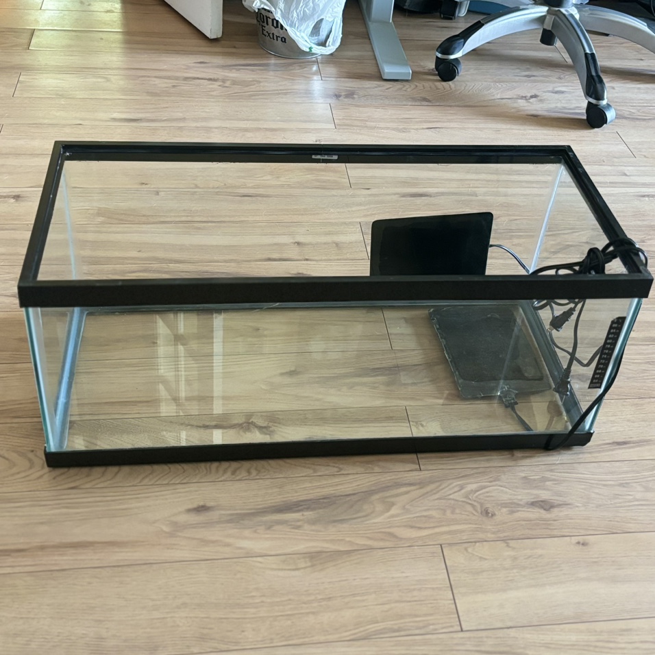 Gecko, Terrariums w temperature mgmt equipt, feed and vitamins image indicator(4)