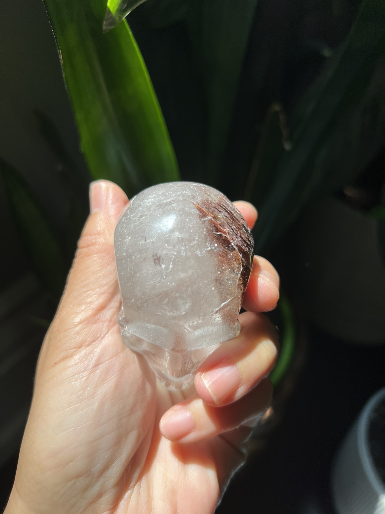 Garden quartz skull carving (J) | crystal image indicator(6)