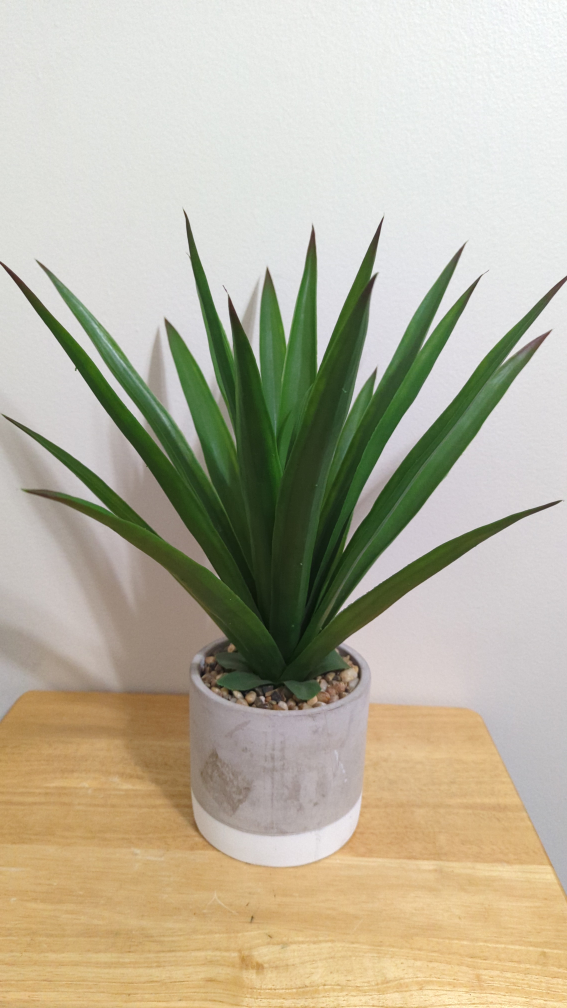 Fake plant