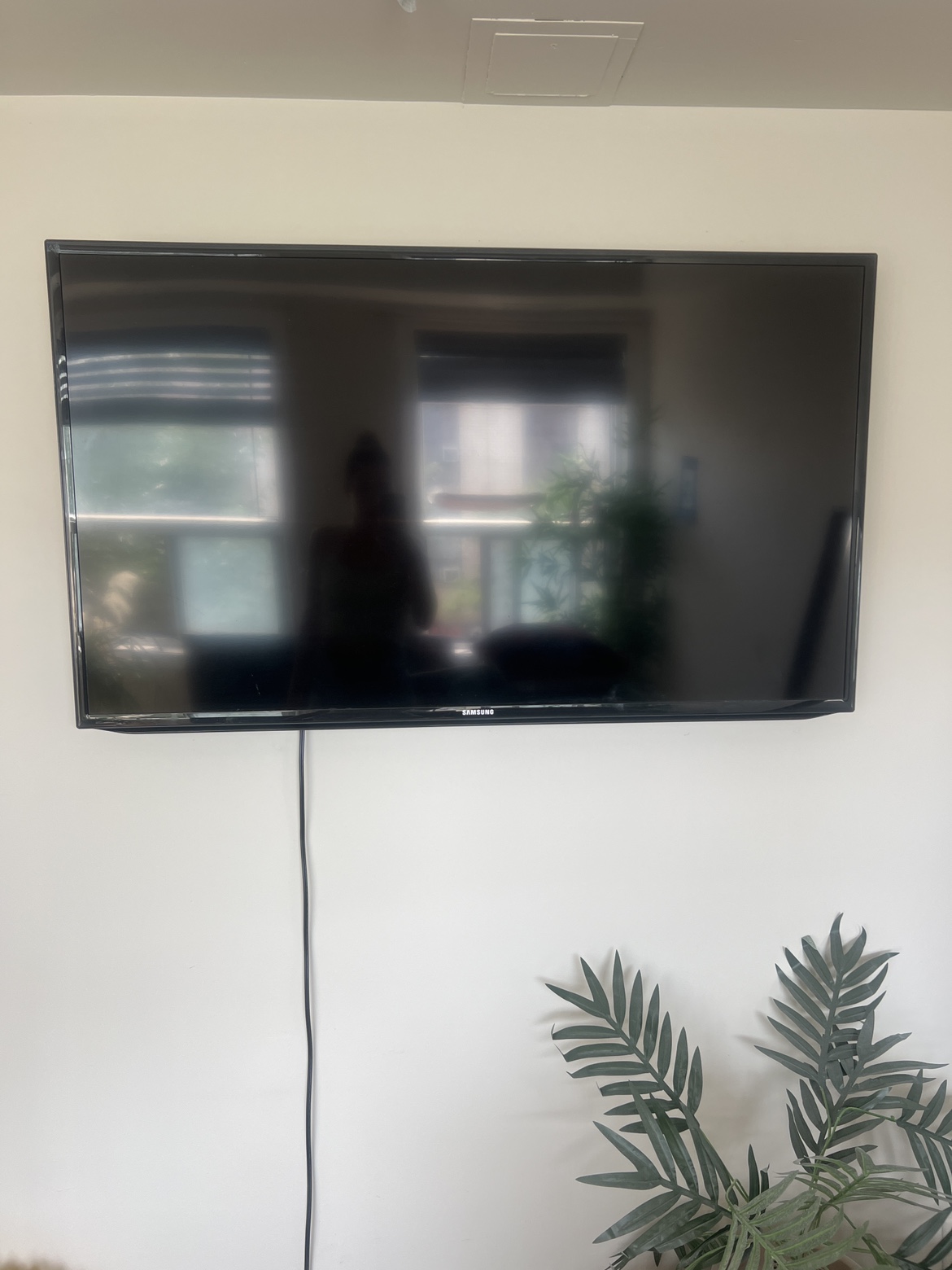 Samsung TV and mount