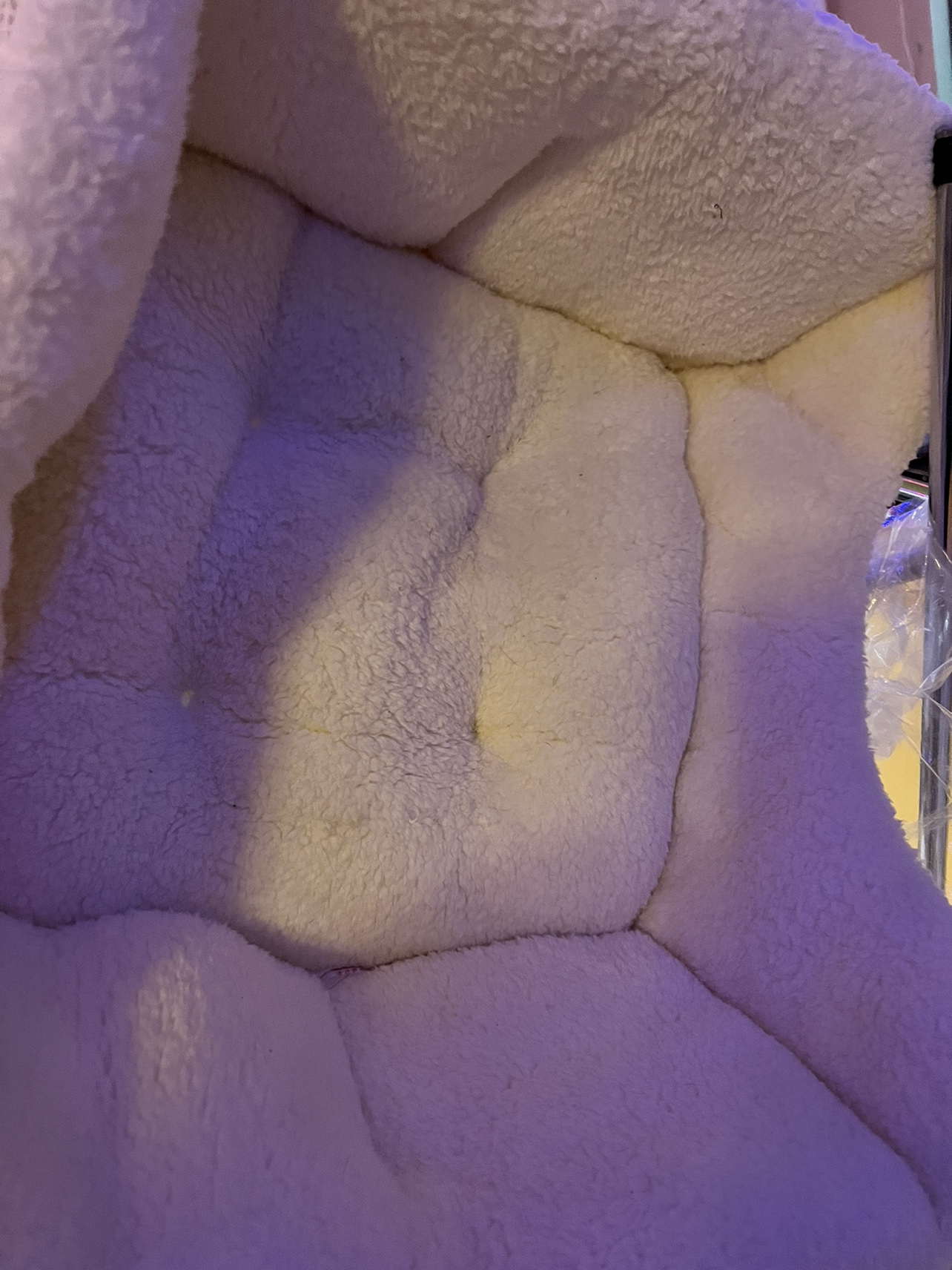 High Walled Cuddler Beds for Cats & Dogs - S - Boots & Barkley™ image indicator(3)