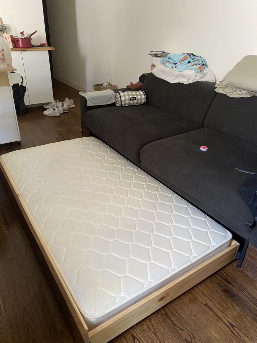 West Elm Sleeper Sofa - photo 4