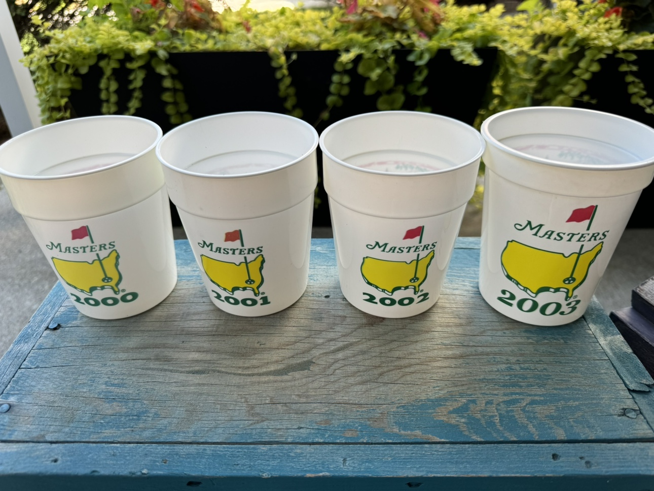 Assorted Master cups image indicator(2)