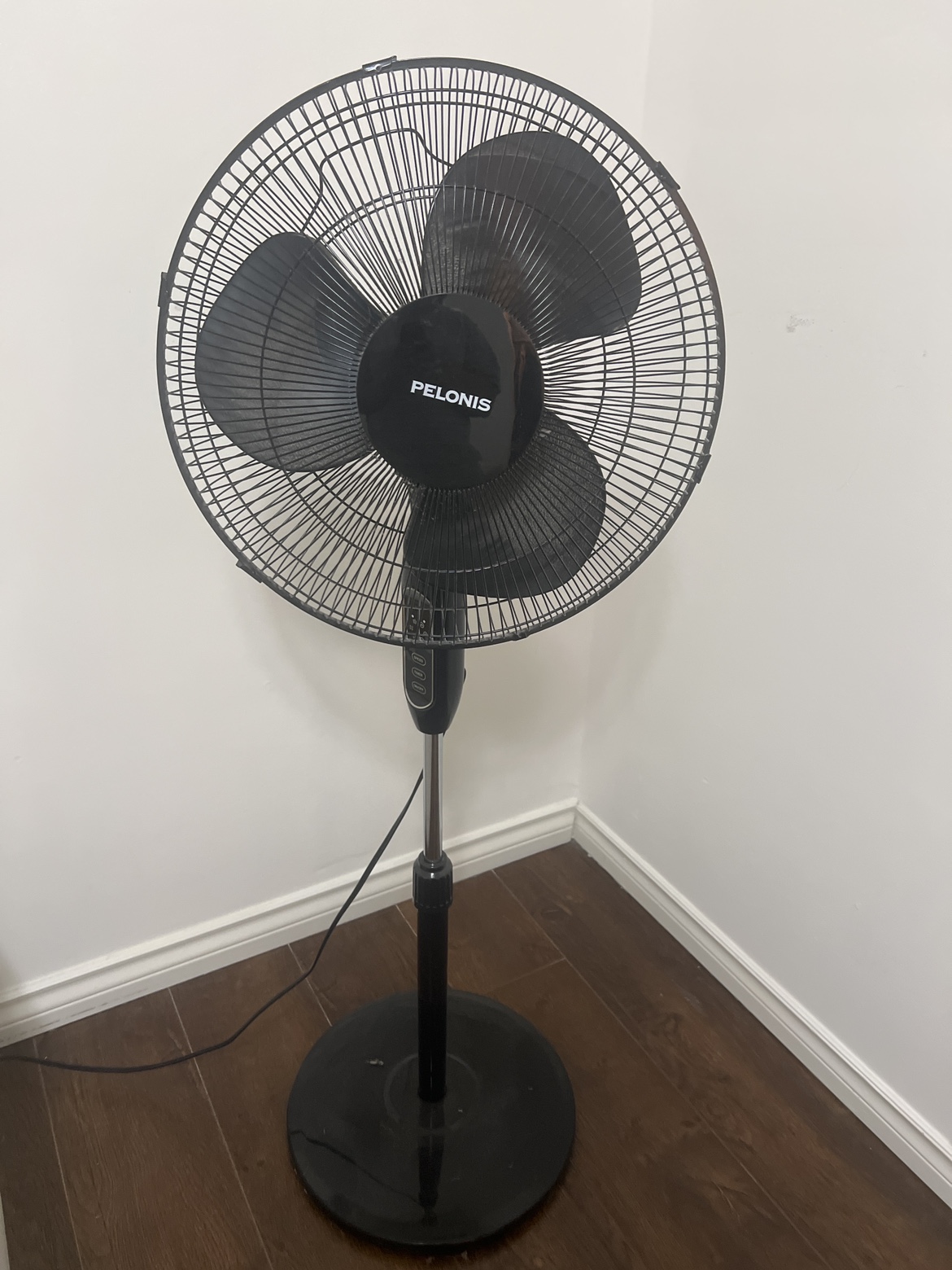 Fan