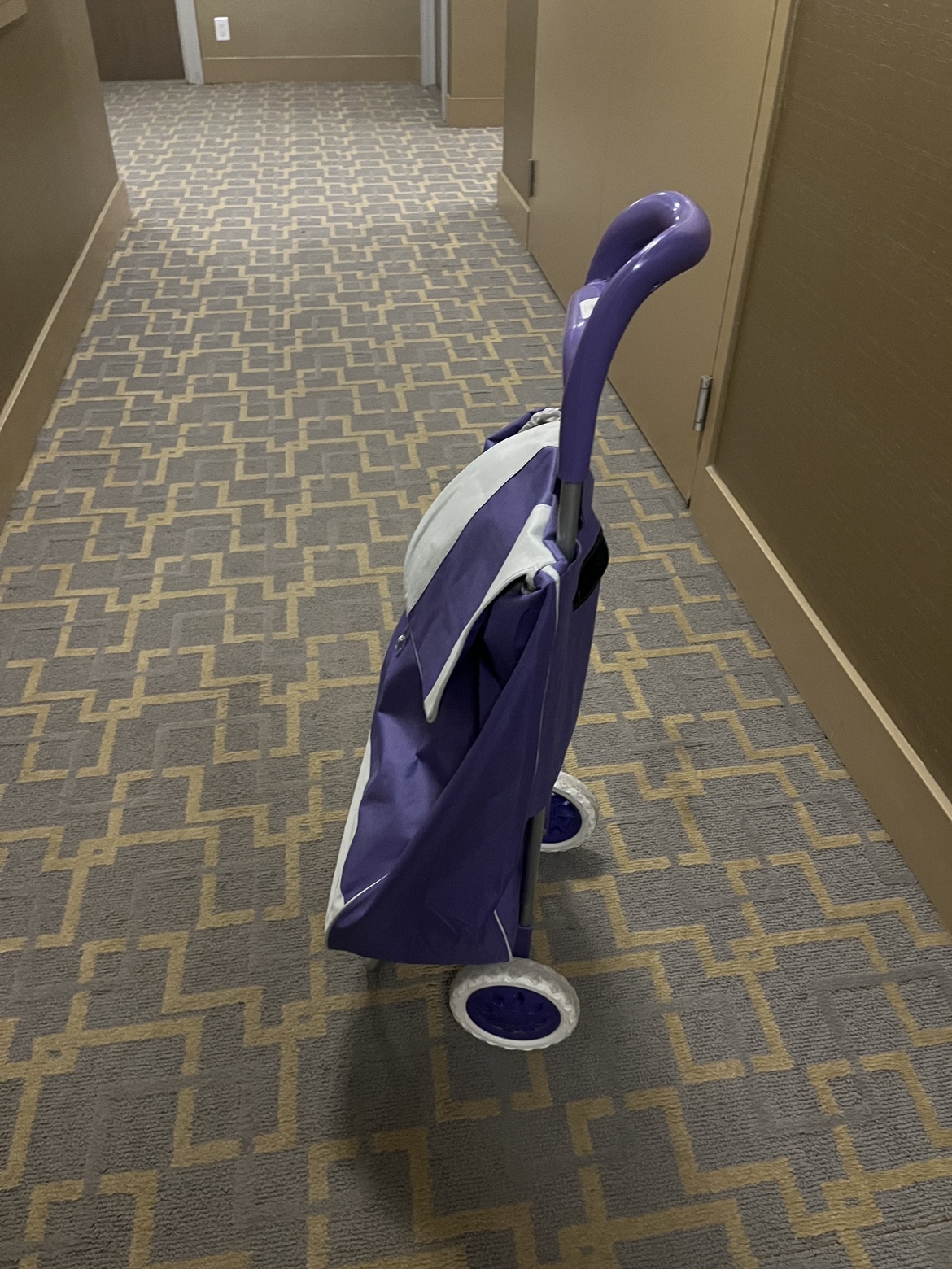 Shopping cart image indicator(2)