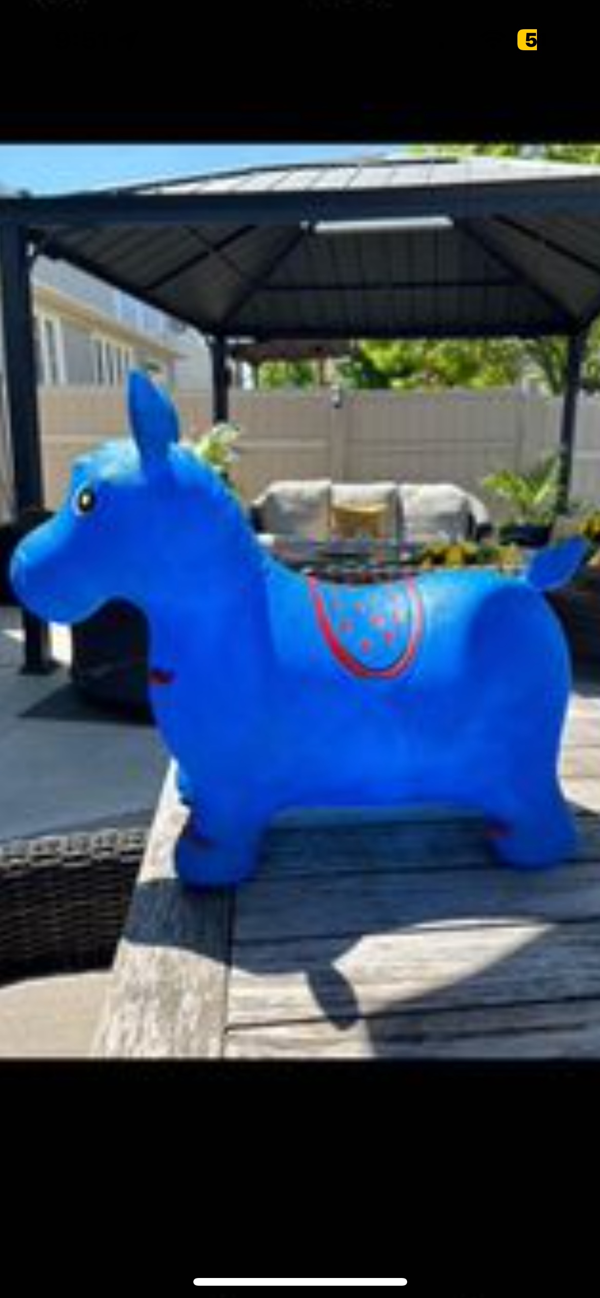 Bouncy Horse - photo 2