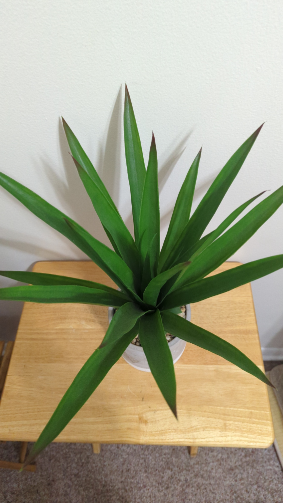 Fake plant - photo 2