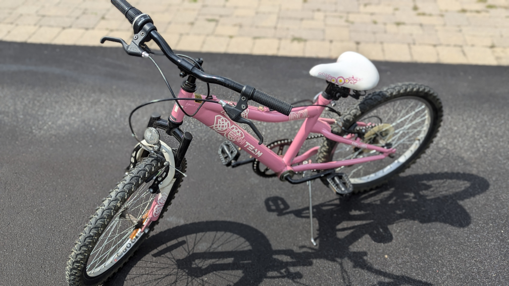 20" Pink Mountain Bike - photo 2