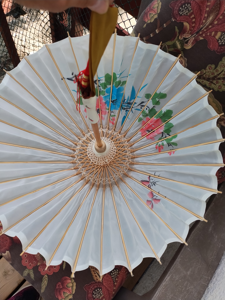 Silk Parasol - Chinese image indicator(9)
