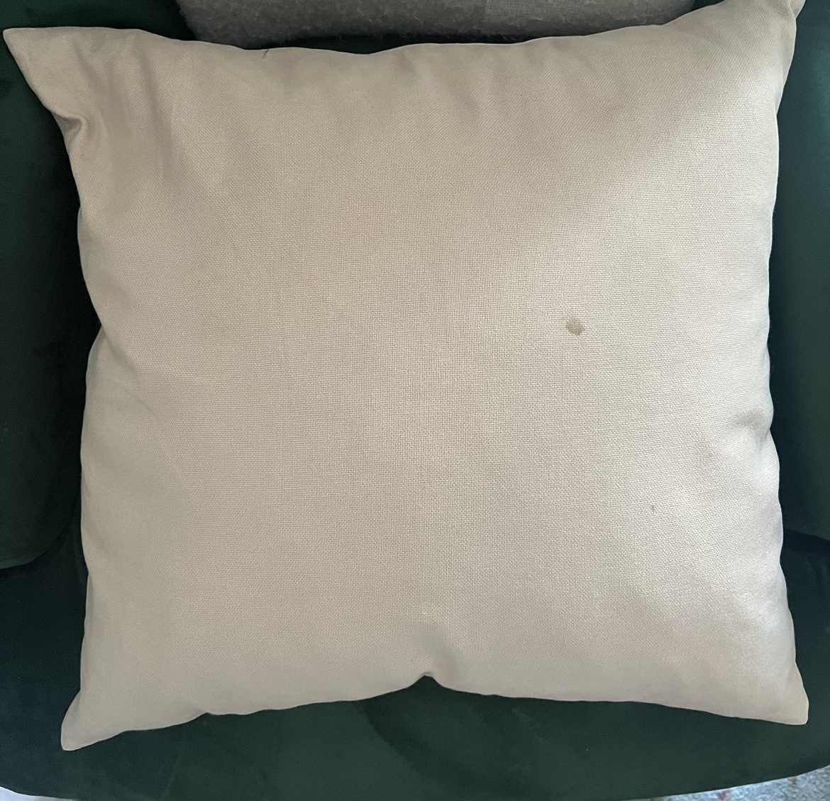 Pillows and Tyler the Creator Art - photo 2