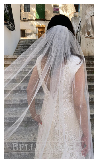 Glitter Wedding Veil
