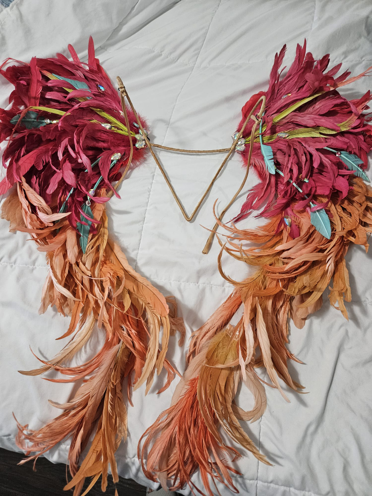 carnival / caribana outfit - photo 4