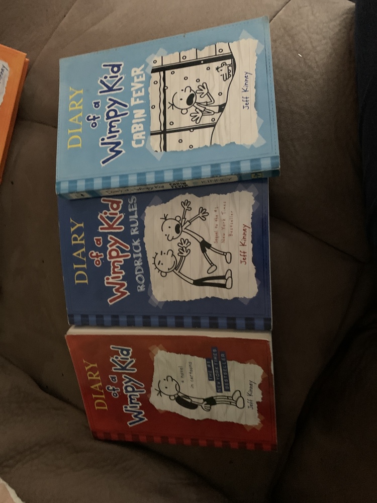 Diary of a Wimpy Kid Books ( all 7 books) - photo 3