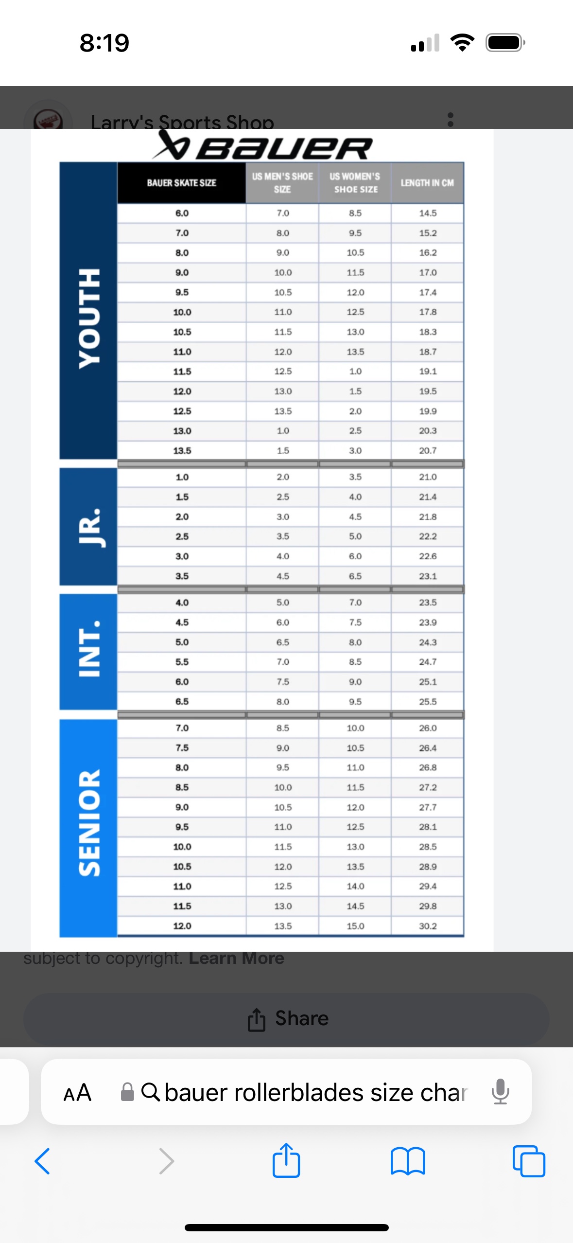 Roller blades 5 image indicator(5)