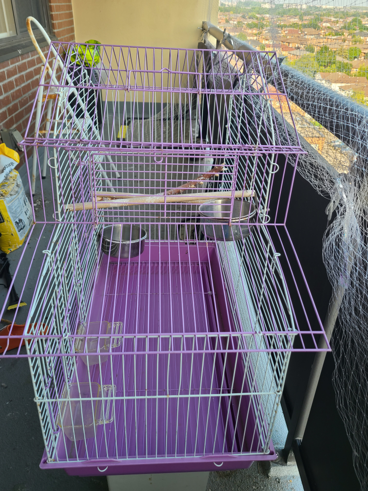 Purple and White Bird Cage image indicator(2)