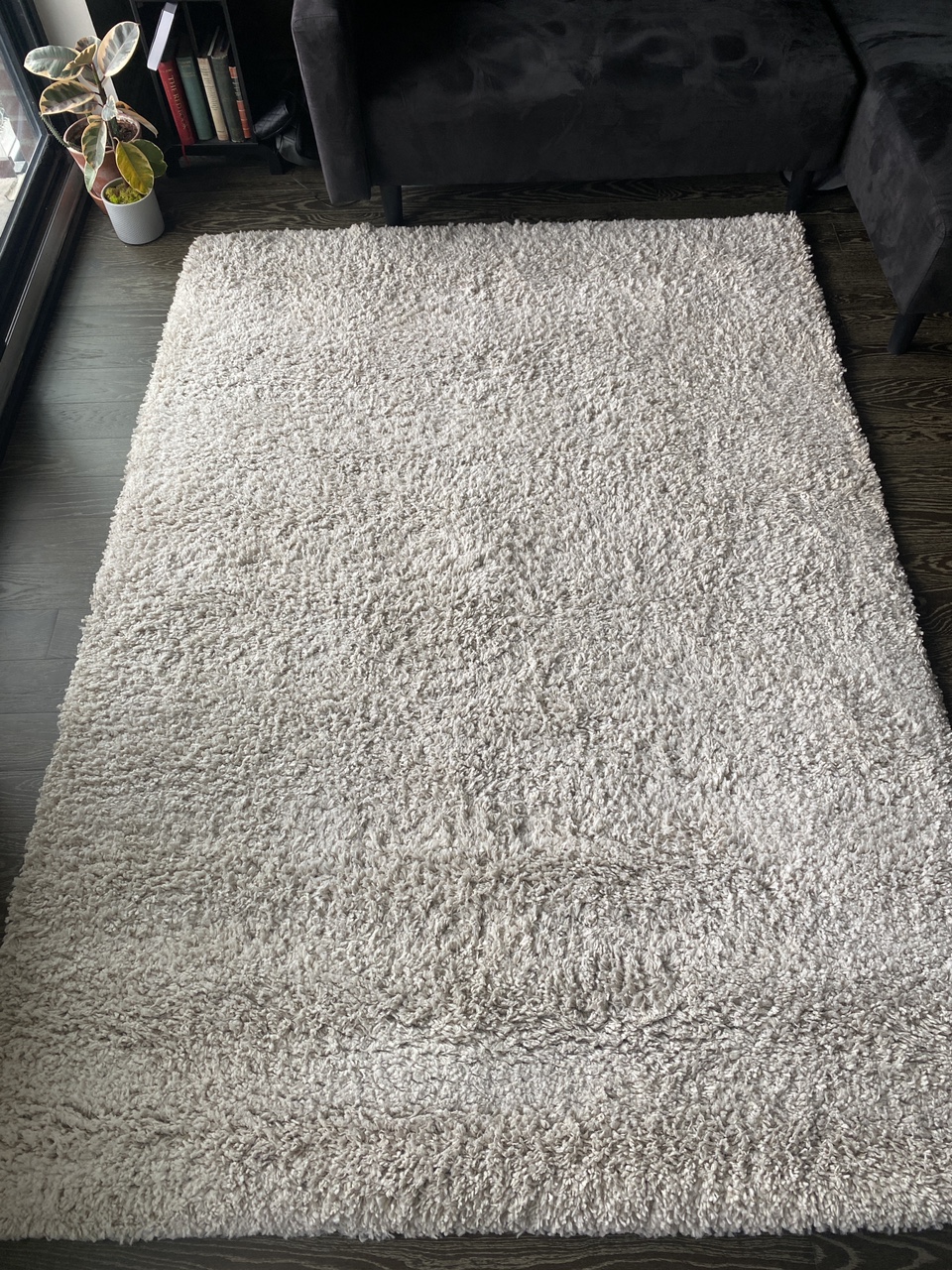 Shag Rug