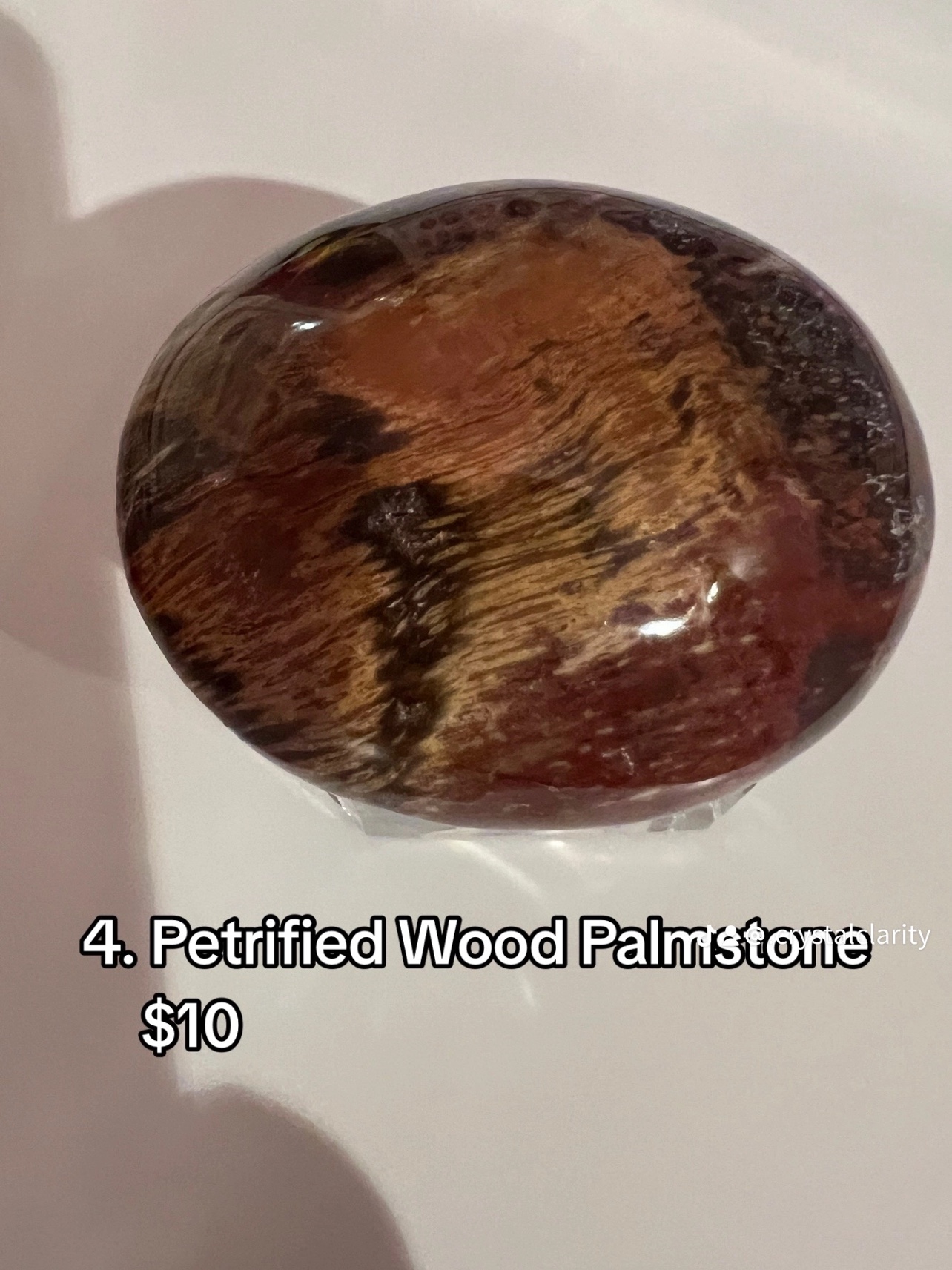 Petrified Wood Palmstone