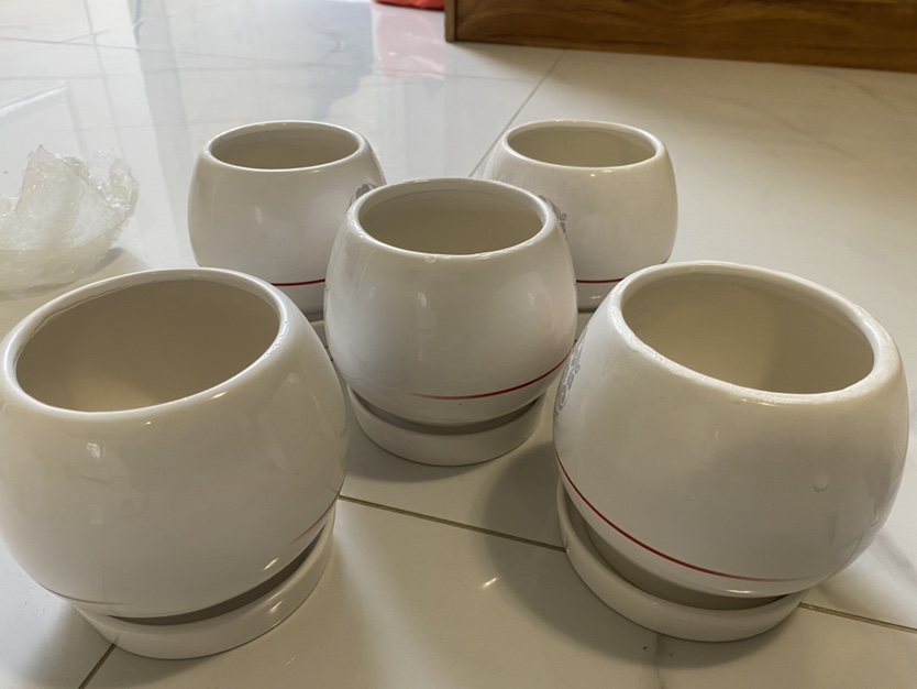 Small flower pot for sell thumbnail