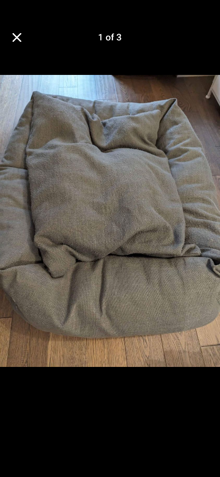 Large/medium sized dark green dog bed