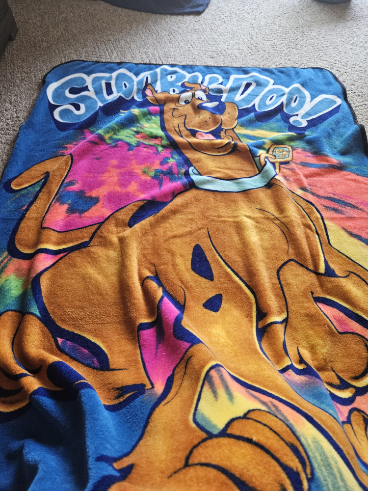 fun blankets image indicator(7)