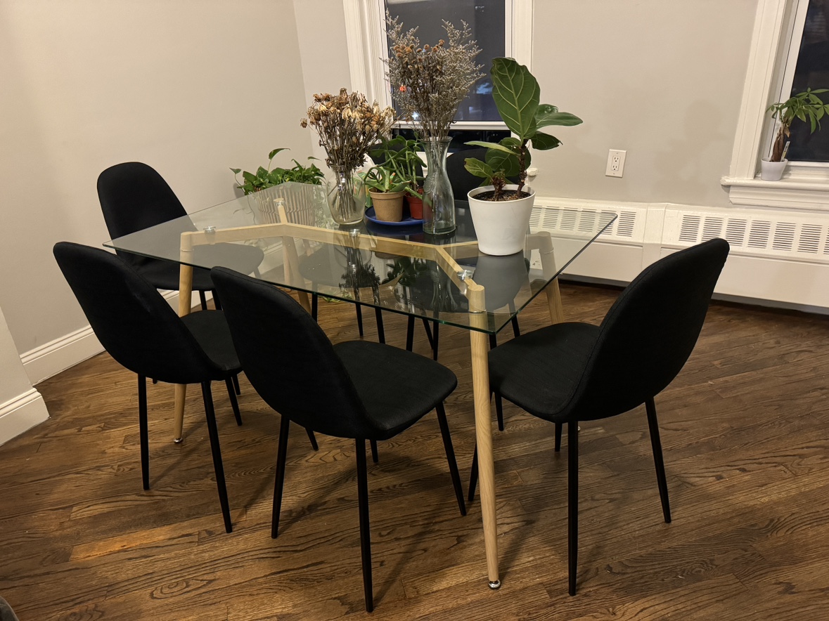 Set of 6 Dining Chairs