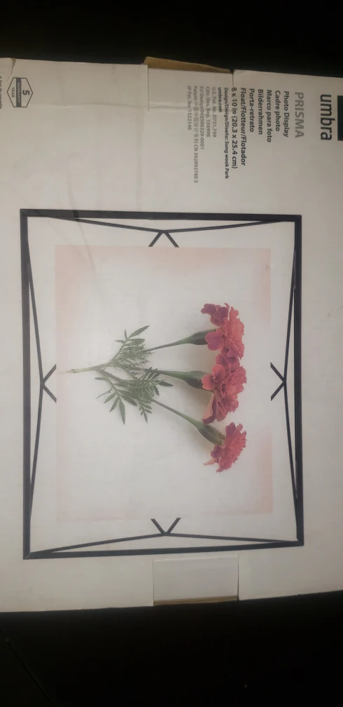 Umbra Prisma Photo Frame image indicator(2)