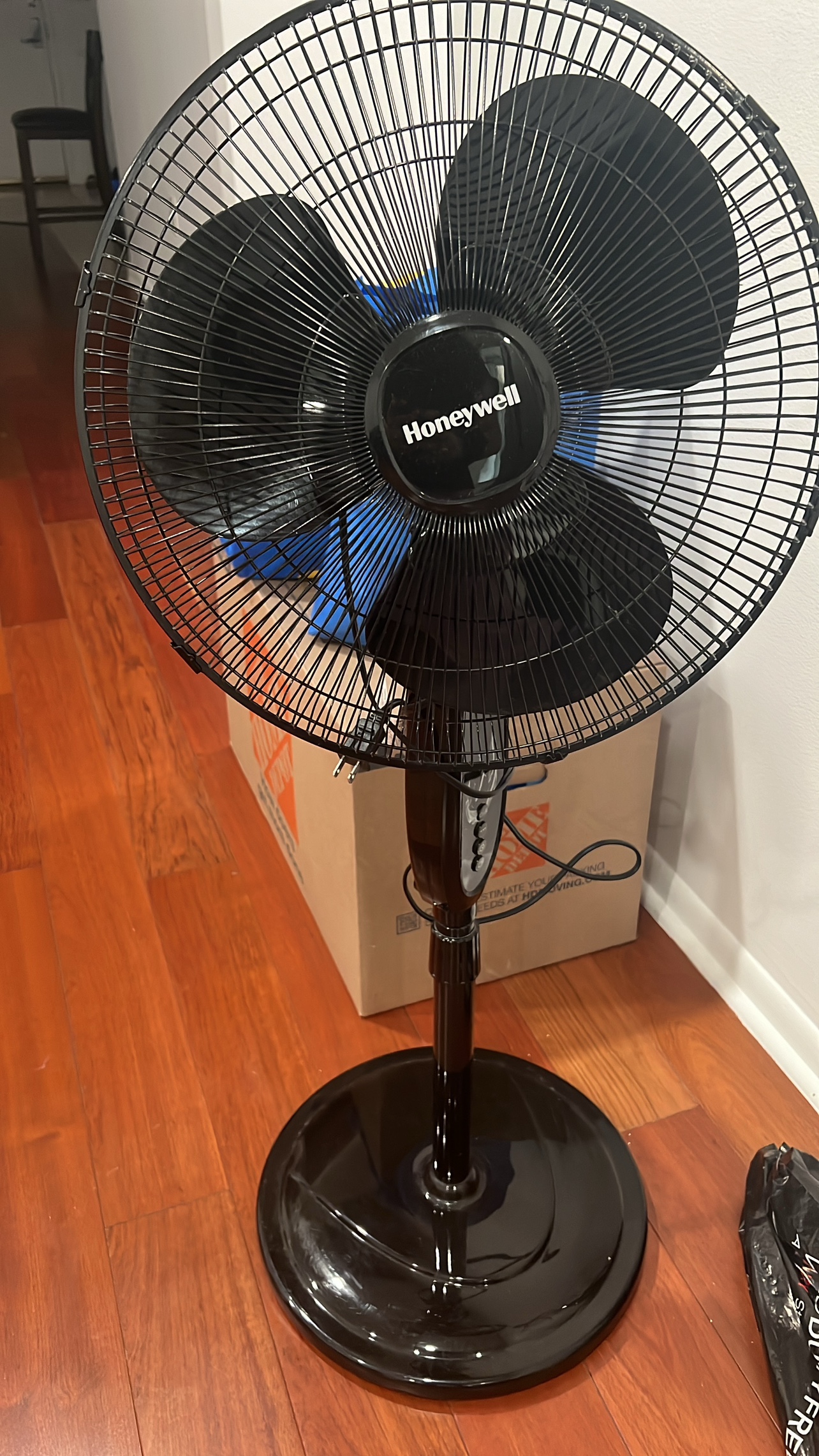 Fan